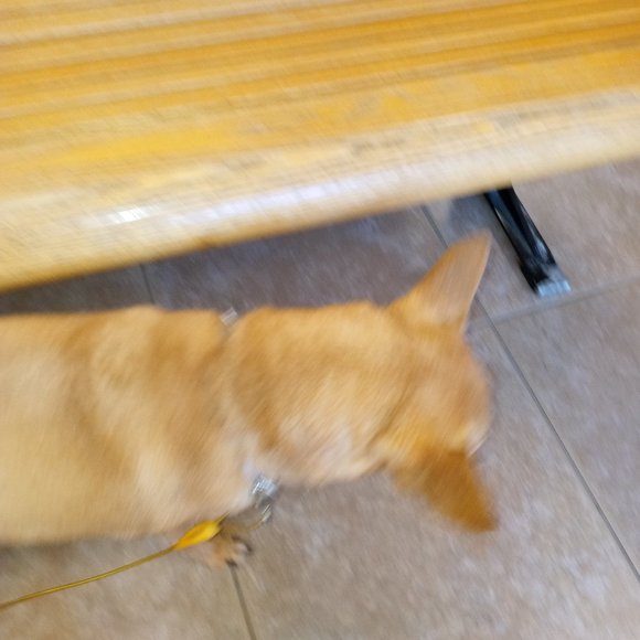 @luckygirl1609 Come & join Everyone is welcome💖 - Picture 12 of 16